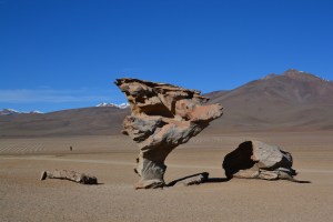 Arbol de Piedra