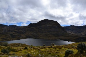 Cajas np