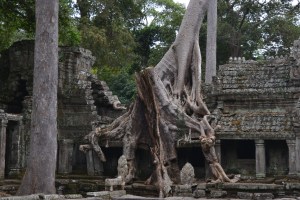 Angkor
