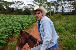 The farmer guide in tobacco plantation