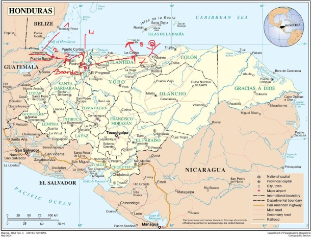 Aliz Chicken bus route