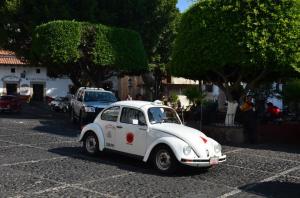 taxco beetle