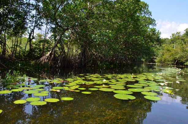 Rio Dulce, Livingston