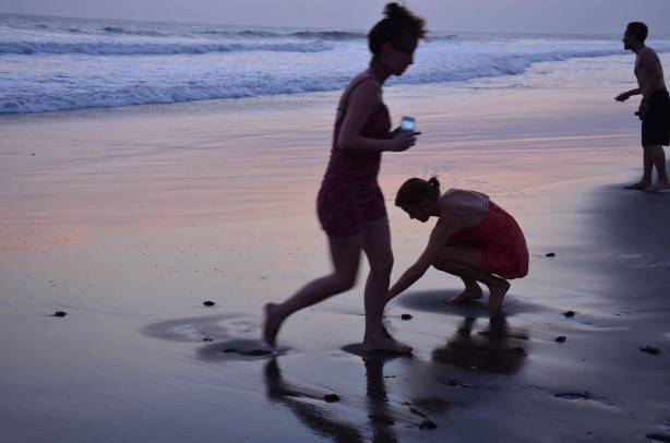 sending off turtles to ocean