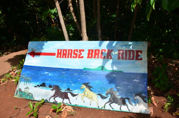 :) glad they draw a picture to!