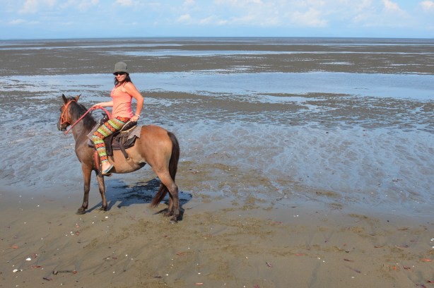 Horse riding on the beach