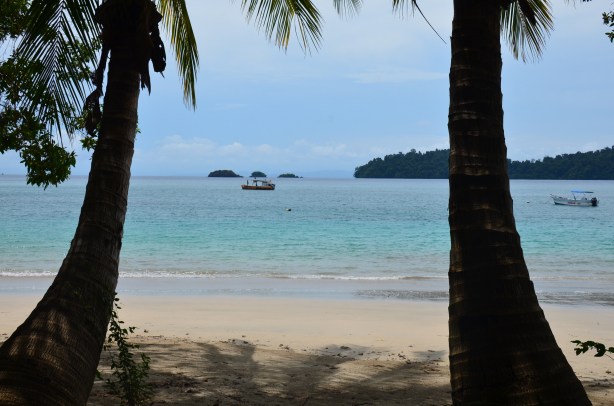 Coiba