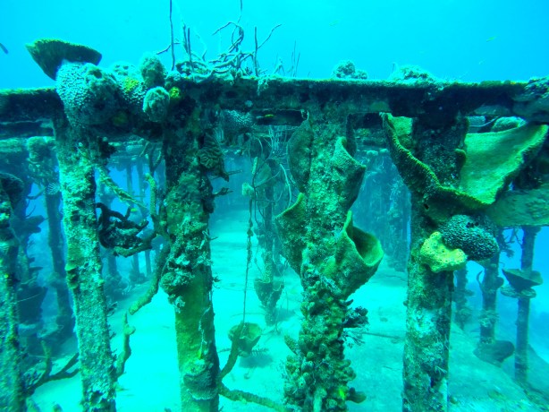 DCIM100GOPROGOPR0028.