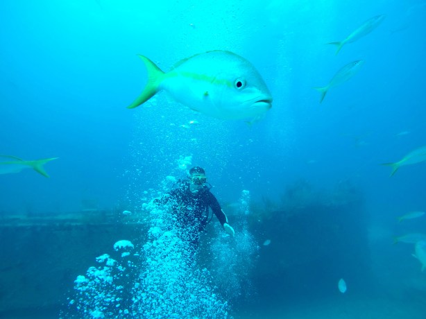 DCIM100GOPROGOPR0090.